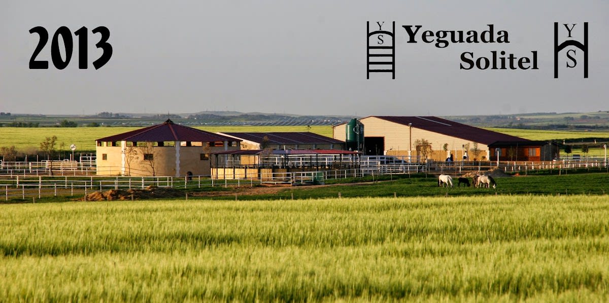 YEGUADA SOLITEL - Hipica in Villárdiga