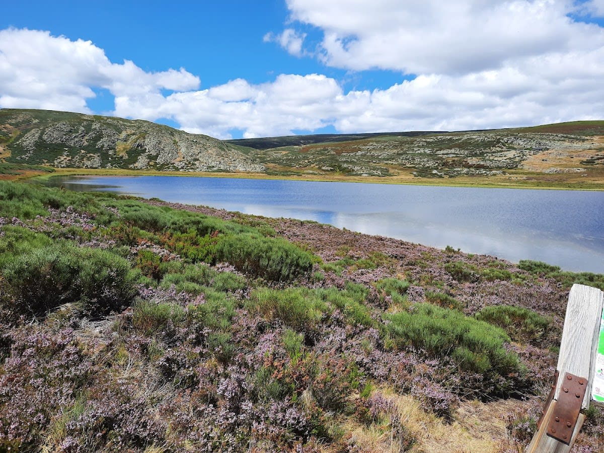 Laguna de las Yeguas - Hipica a Zamora