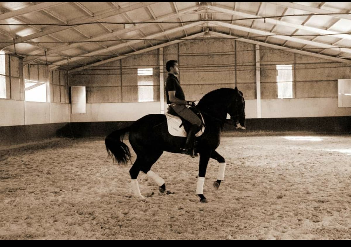 Centro ecuestre Félix Fondón - Hipica in Arroyo de la Luz