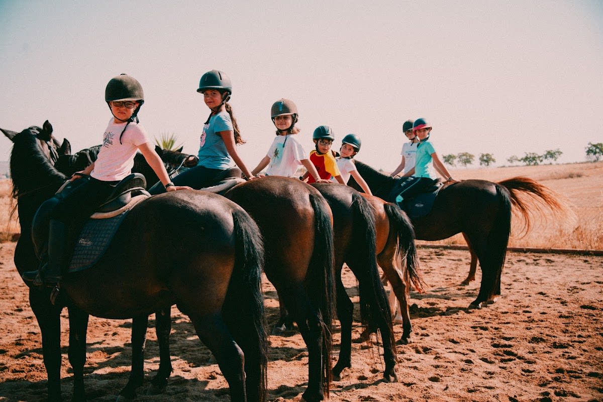 Centro Ecuestre Las Dehesillas - Hipica en Medina de las Torres