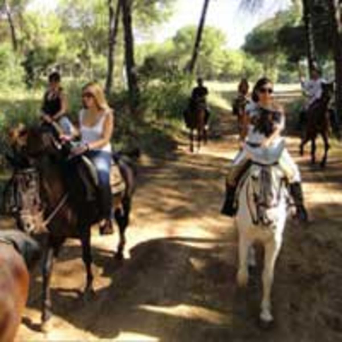 Equestrian Center Entrepinares - Hipica in Aznalcázar