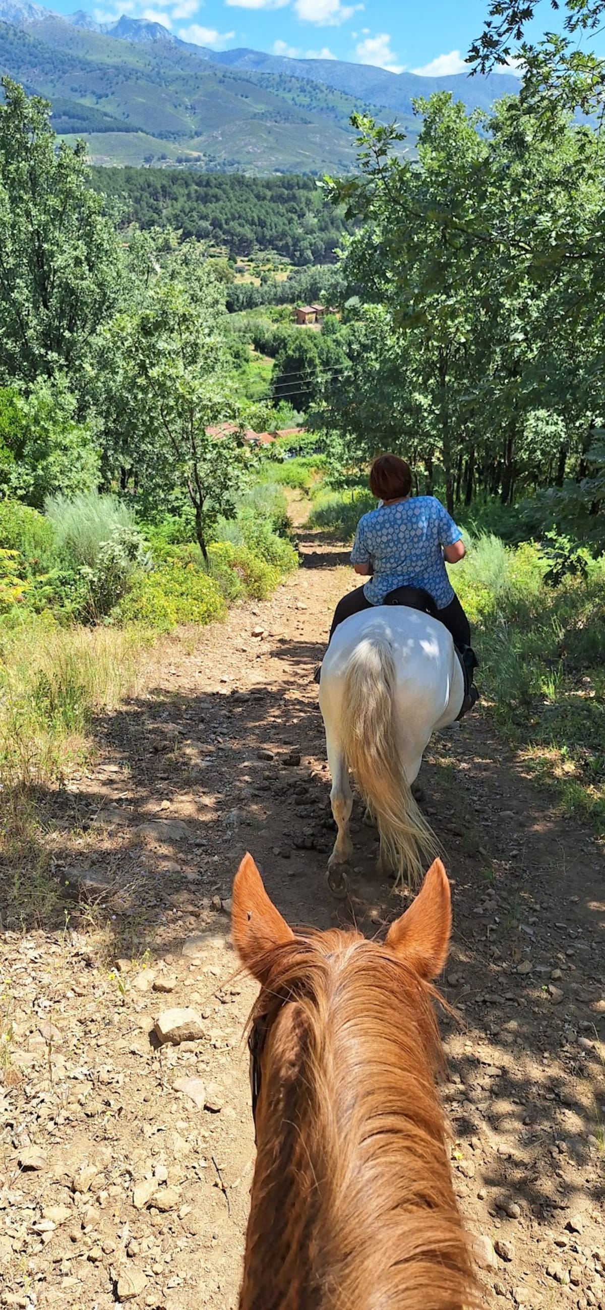 Hípica Madrigal - Hipica en Madrigal de la Vera