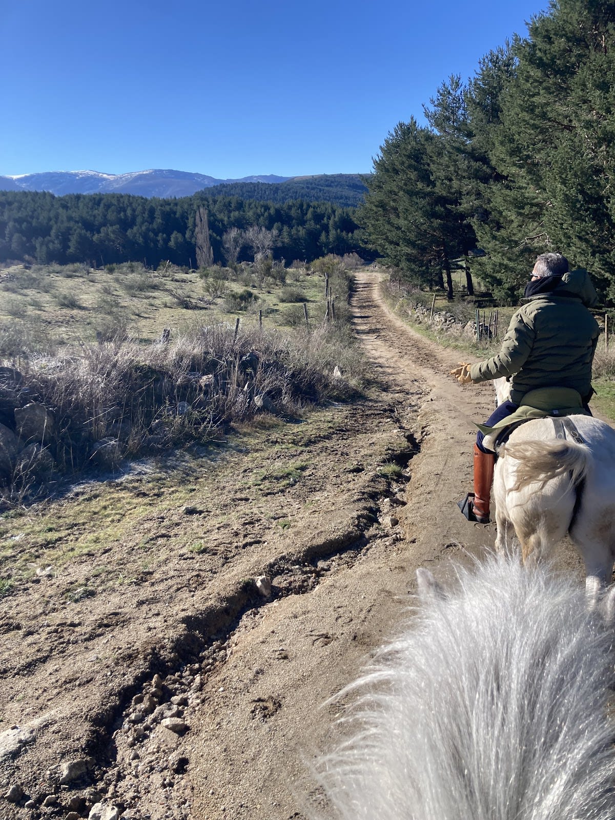 CABALGREDOS - Hipica in Hoyos del Espino