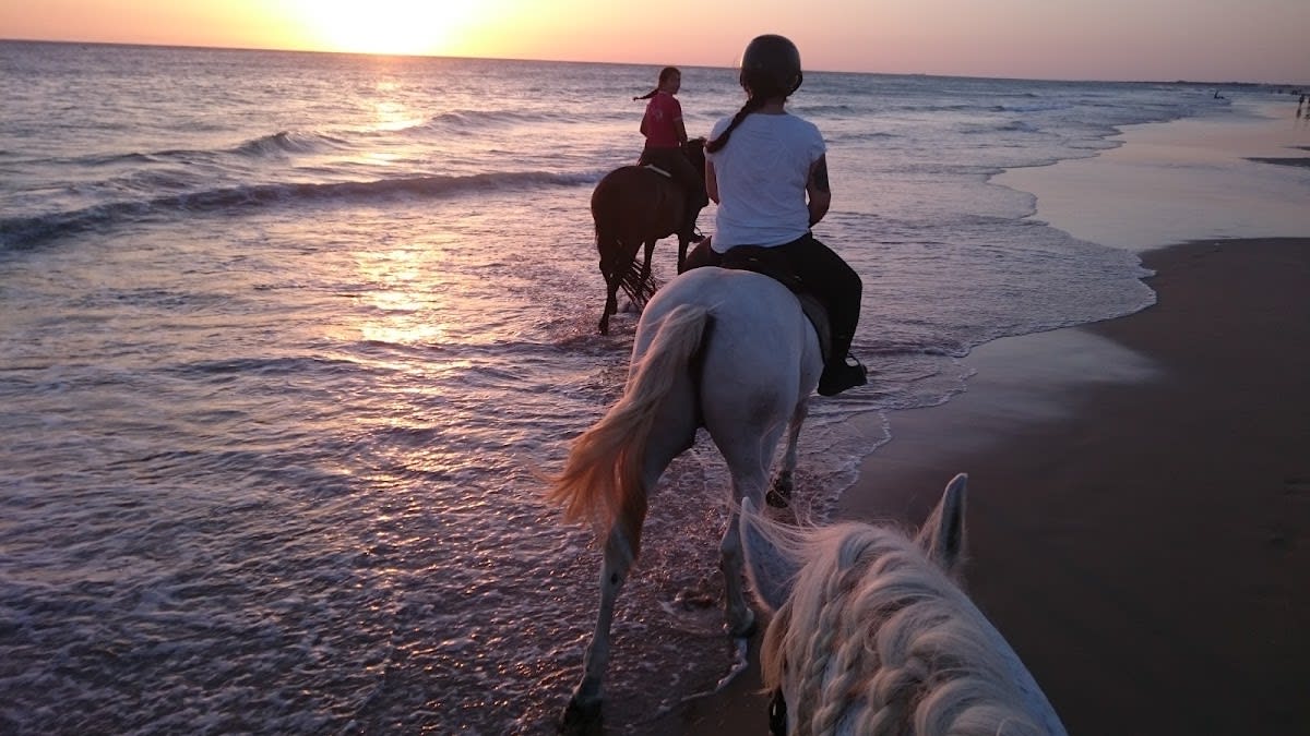 FINCA GUZMÁN HÍPICA - Hipica in Conil de la Frontera