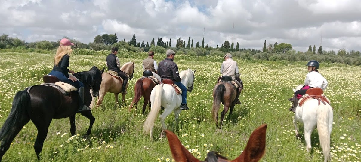 Centro Ecuestre La Janda, dedicado al pupilaje de caballos, clases de equitación y paseos a caballo con vistas a Sevilla. - Hipica in Camas