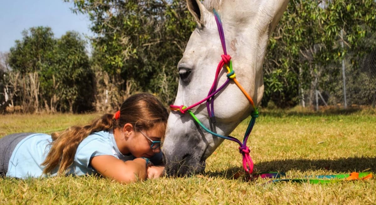Escuela Hípica La Cuadra - Hipica in Campiña-Serrano