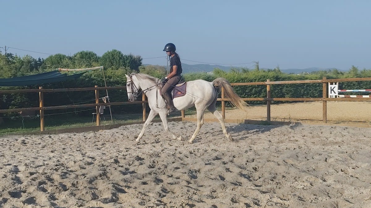 Escola Equestre Picadeiro Tavares Ramos - Hipica in Aldeia de Joanes