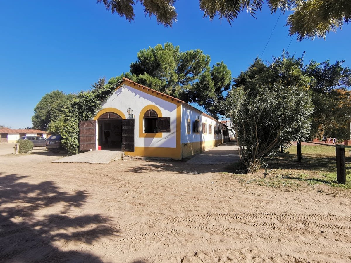 Quinta do Cabrito - Hipica in São Miguel do Rio Torto