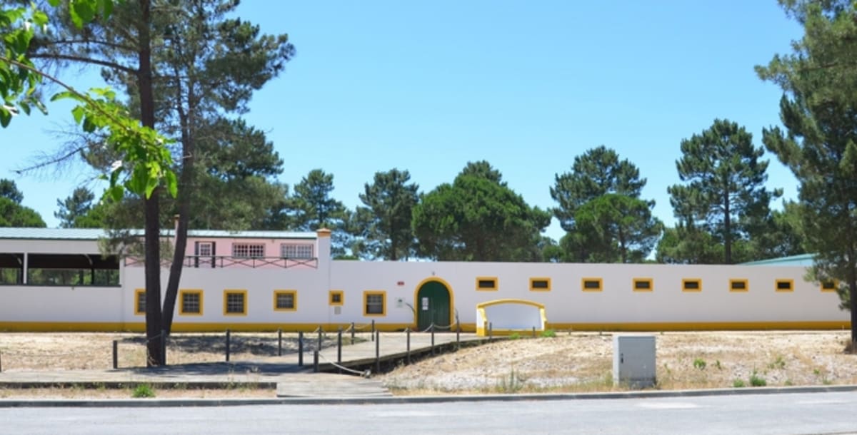 Entre Amigos - Actividades Equestres - Hipica in Alcácer do Sal