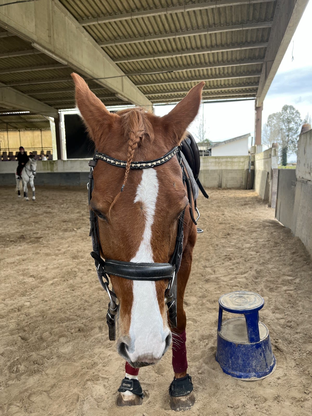 Equestrian center of Coimbra - Hipica in Coimbra