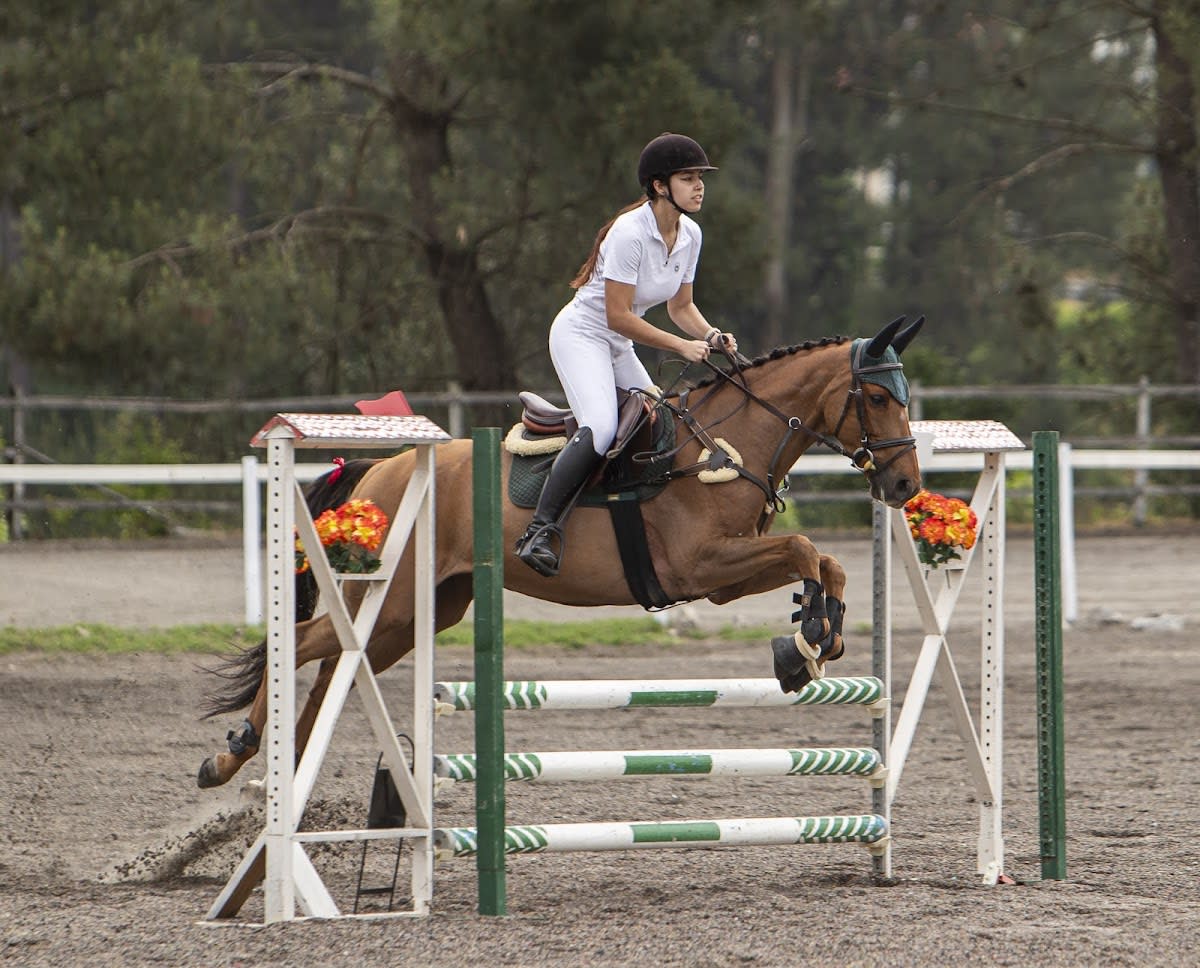 Bs equestre - Hipica in Lousada