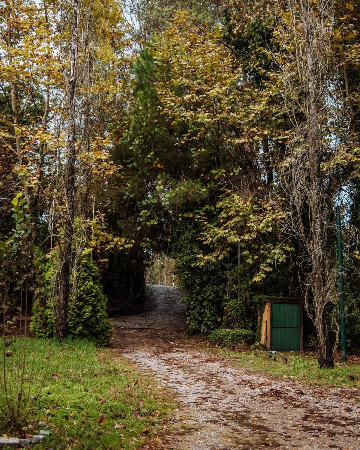 Centro Hípico da Feira - Cavalos & Companhia - Hipica in Santa Maria da Feira