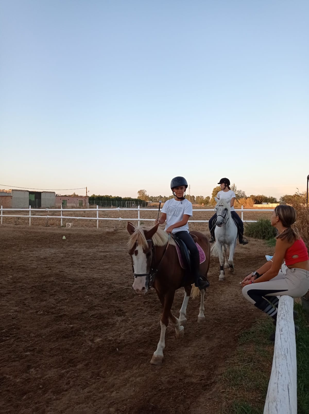 Escuela De Equitación Cuadra Jesús Domínguez - Hipica in Guillena
