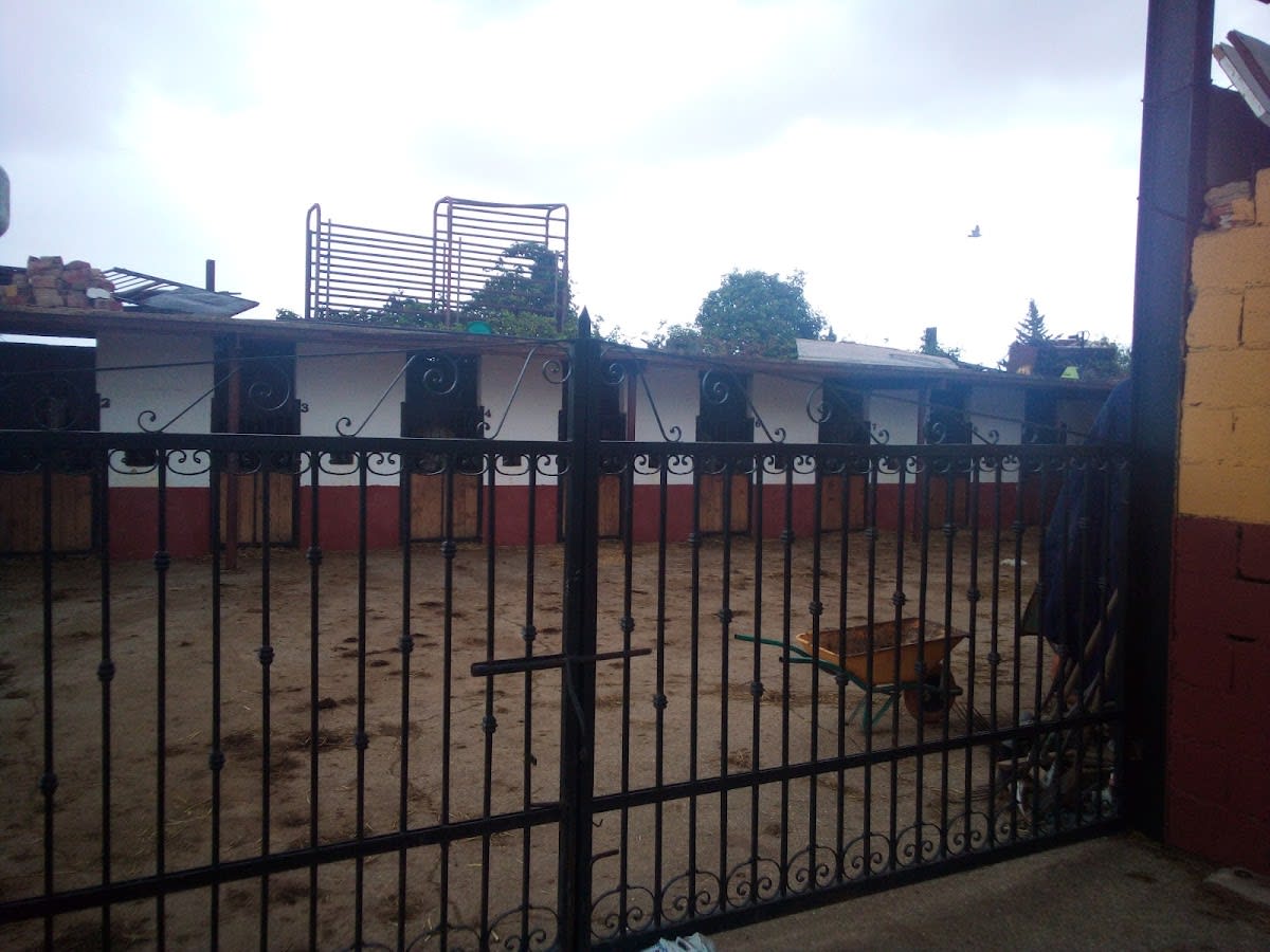 Escuela de equitación y enganche El Toro - Hipica in Almendralejo