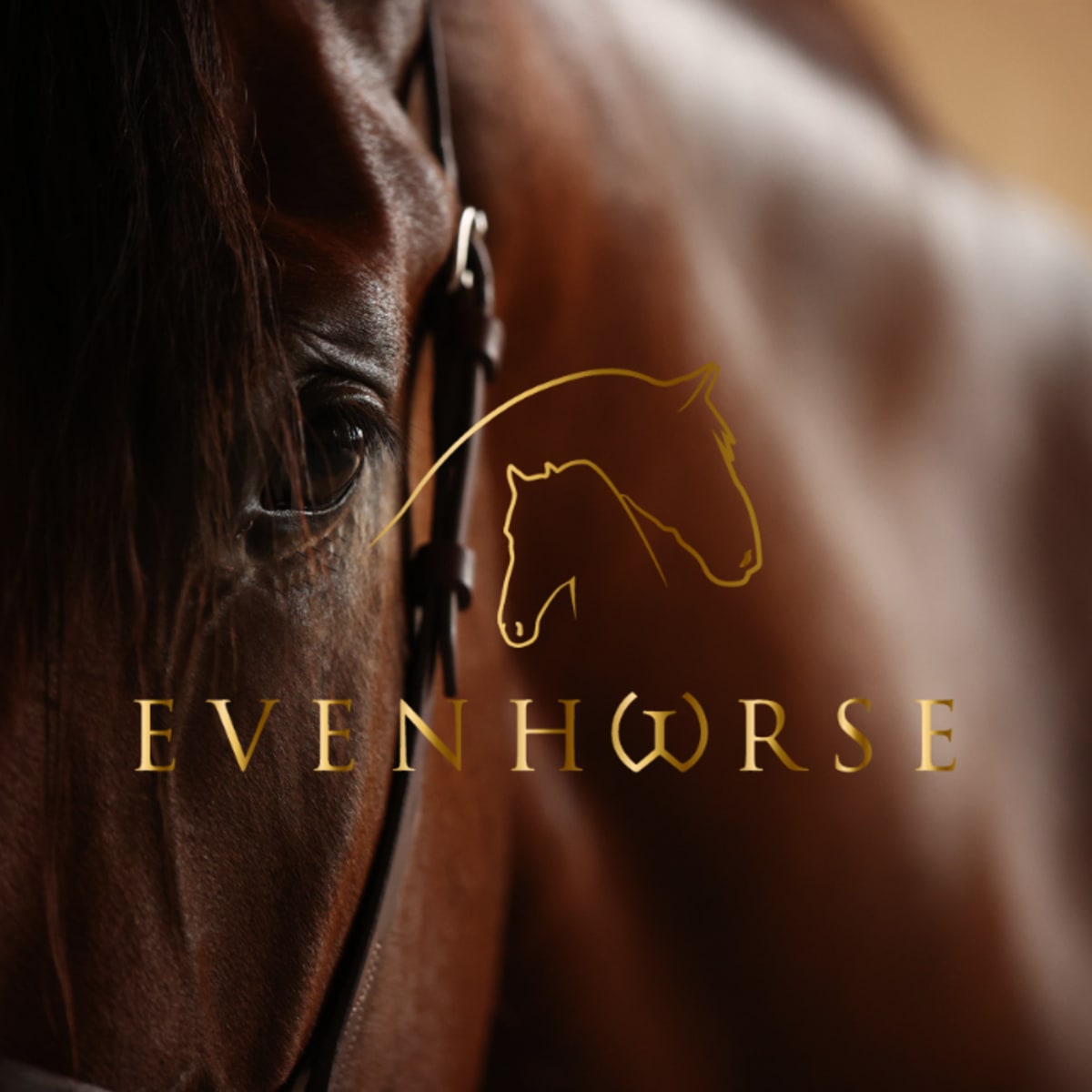 Evenhorse - Hipica a Carmona