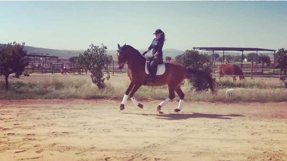 Centro Ecuestre Tania Alcoba - Hipica en Don Benito