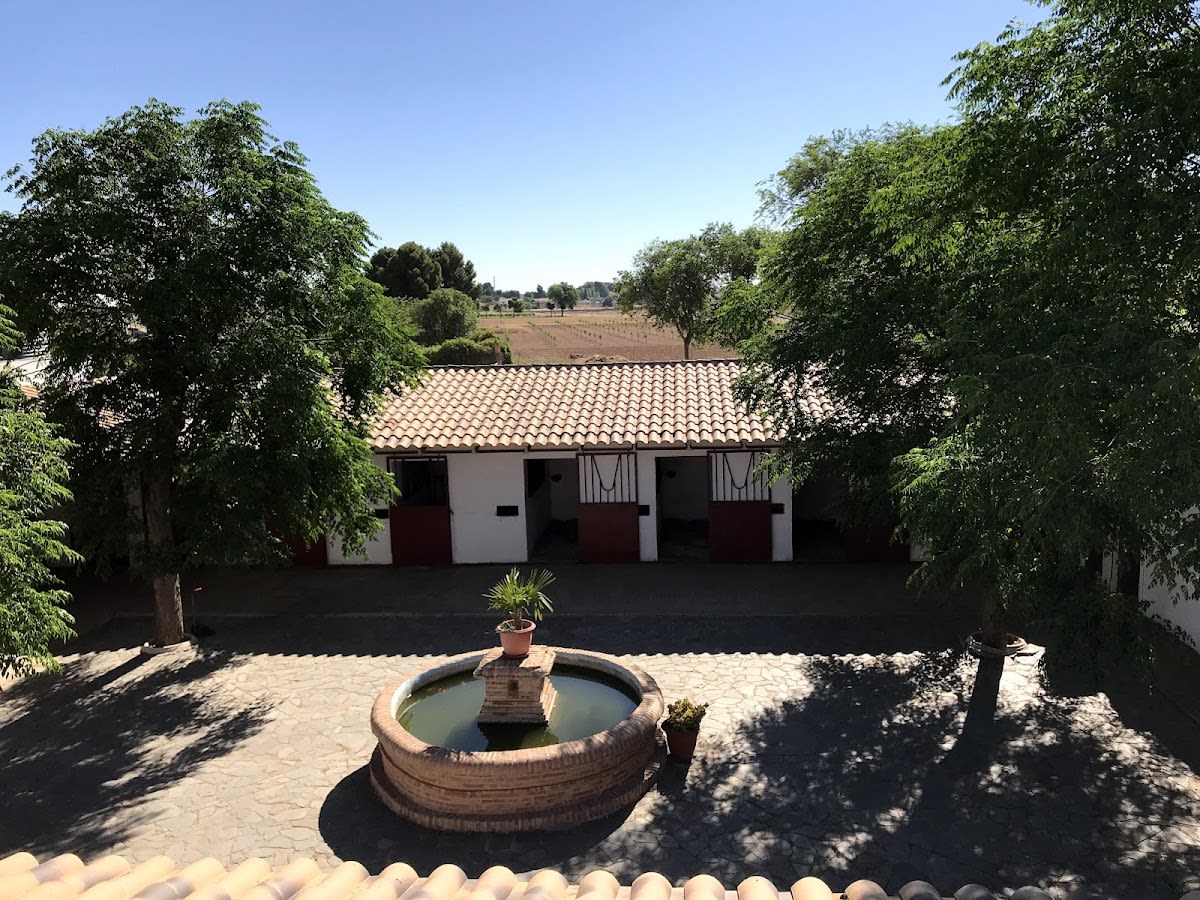 Hípica CEM - Hipica en Ciudad Real