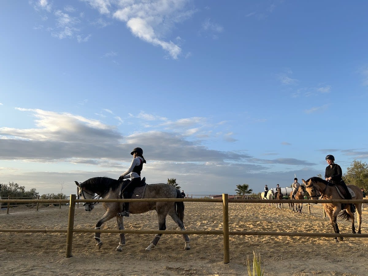 Centro ecuestre "La Ilusión" - Hipica in Baeza