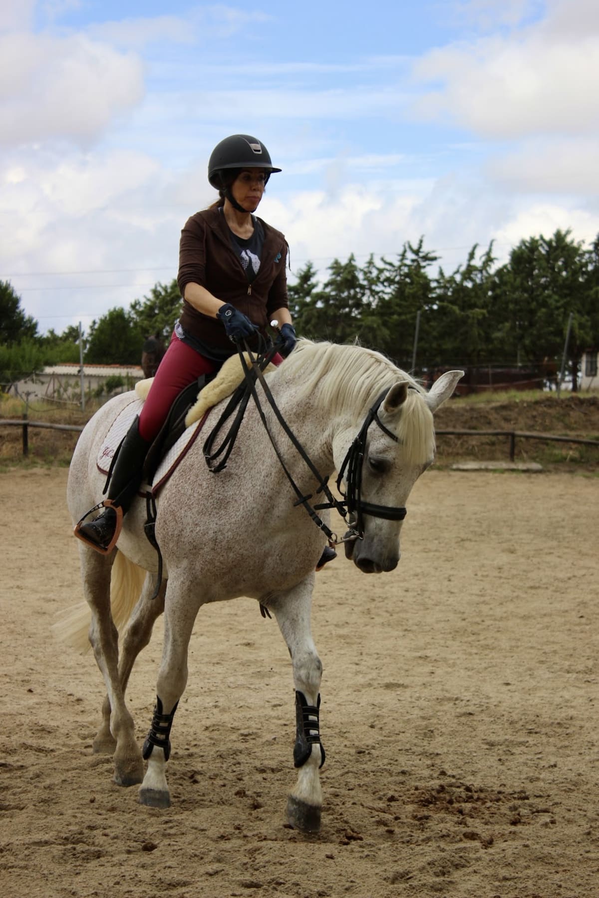 Centro Hípico Brunete - Hipica in Madrid