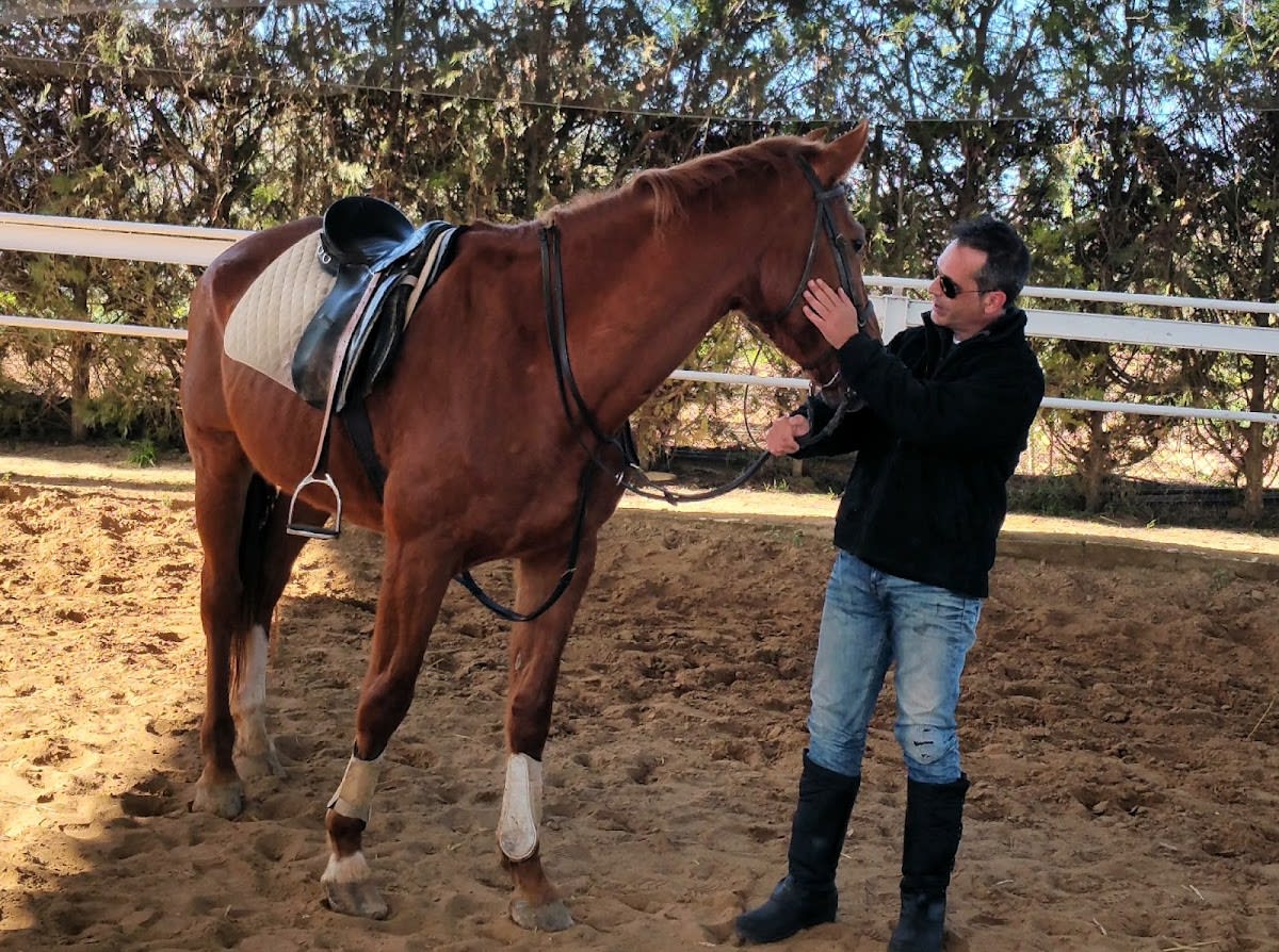 Escuela De Equitación Hípica Alisla - Hipica in Sanlúcar la Mayor