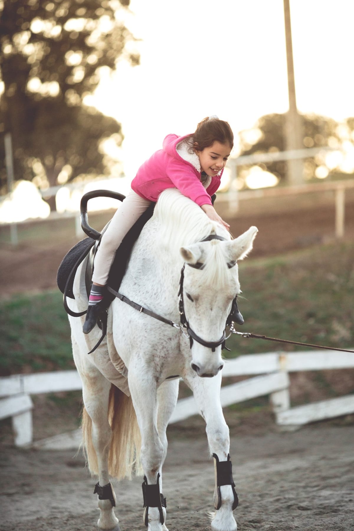 CDE Equipo de Volteo Madrid - Hipica a Alcorcón