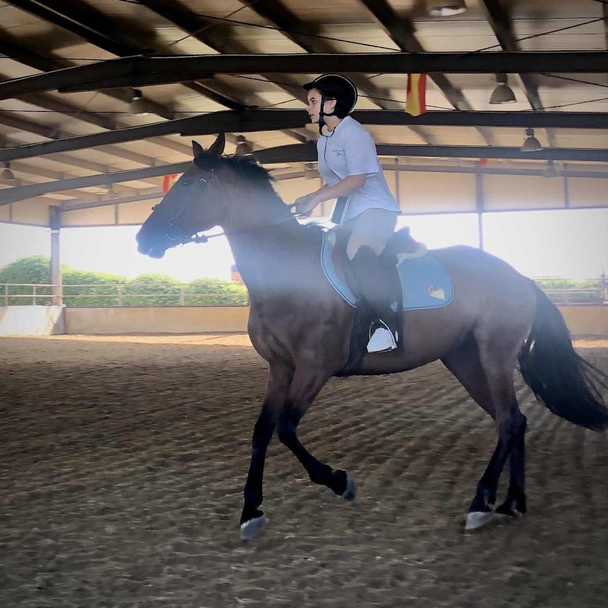 Centro Hípico La Herradura S. L. - Hipica in Palma del Río