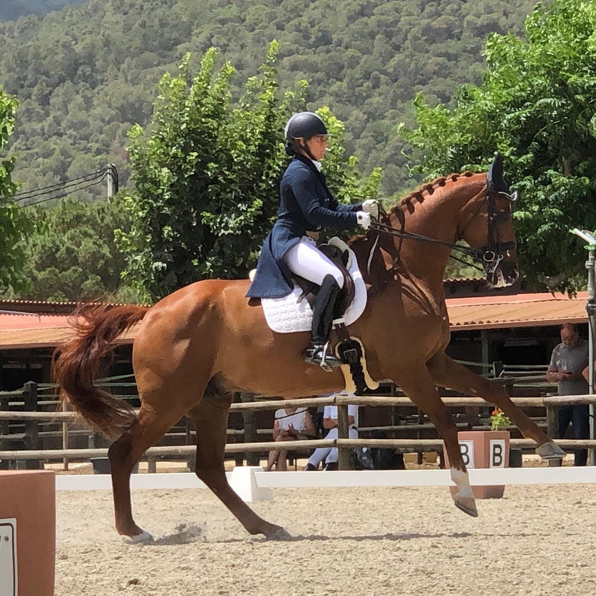 Nz Centro Ecuestre - Hipica in Burguillos