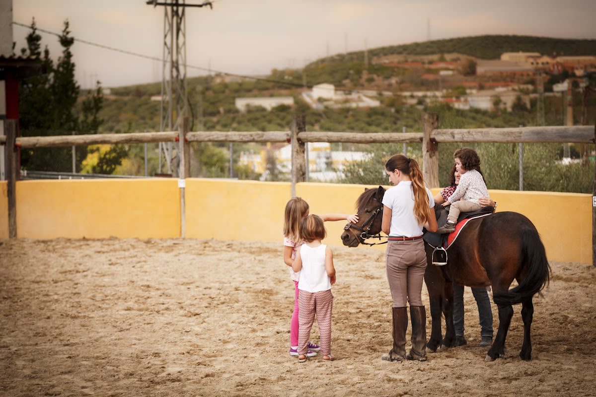 Centro Hípico La Tiza - Hipica in Martos