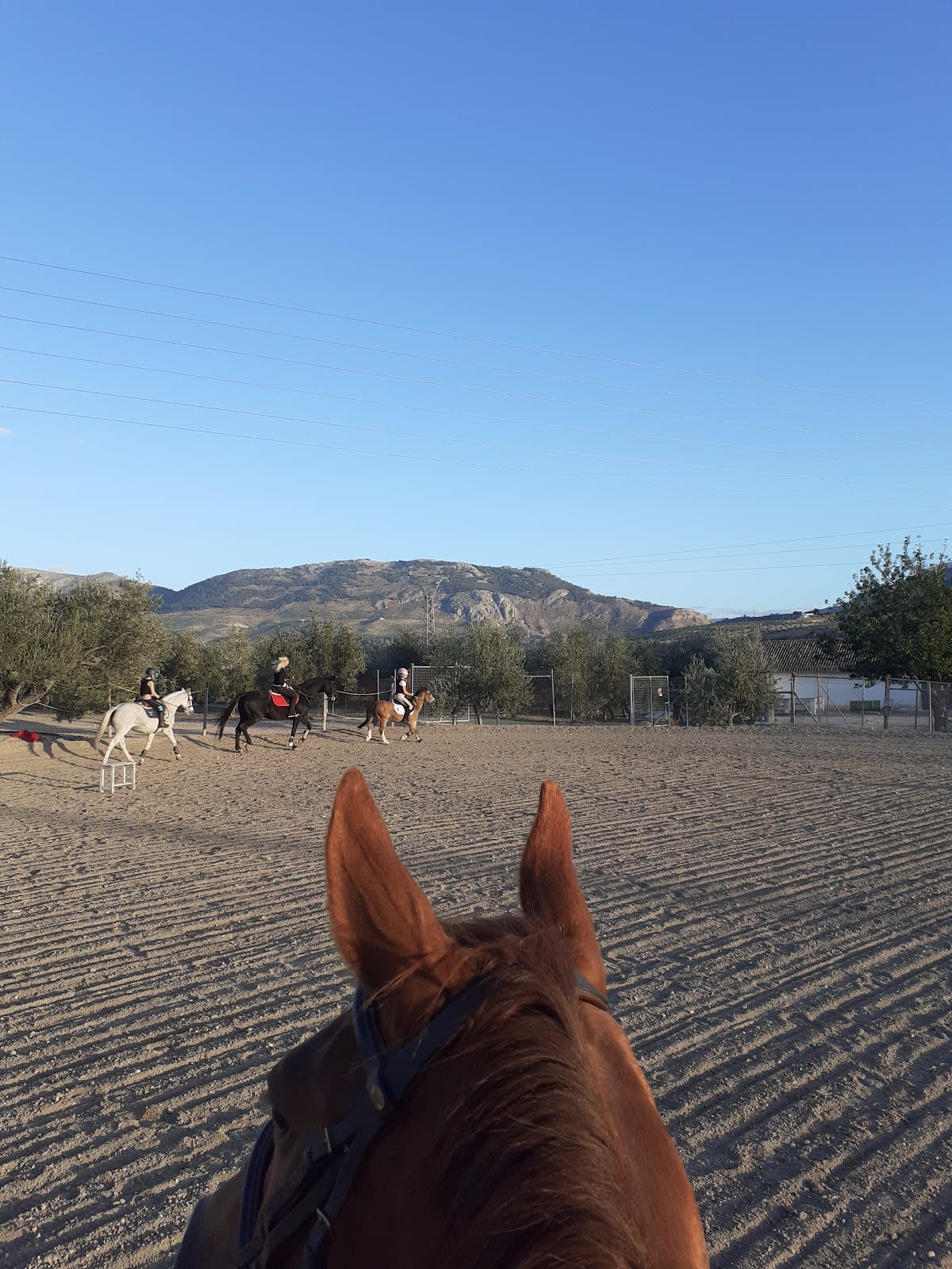 Club DC Hípico Jaén - Hipica in La Guardia de Jaén