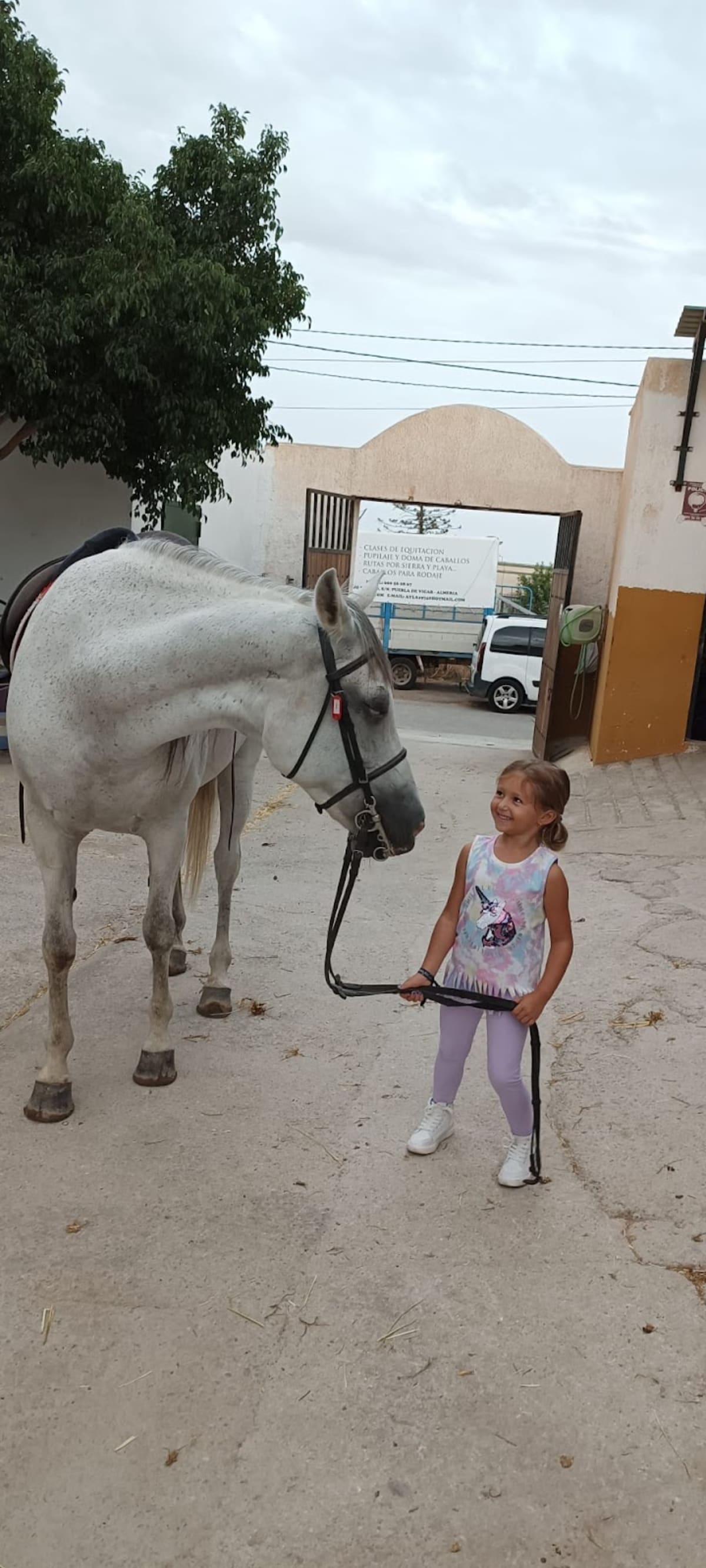Club Hípico Cortijo Blanco - Hipica in Vícar