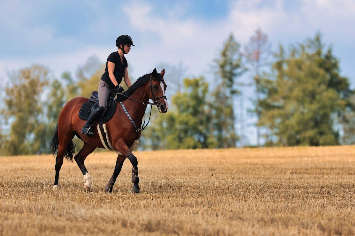 Hípica Ruiz Fernández - Hipica in Carmona