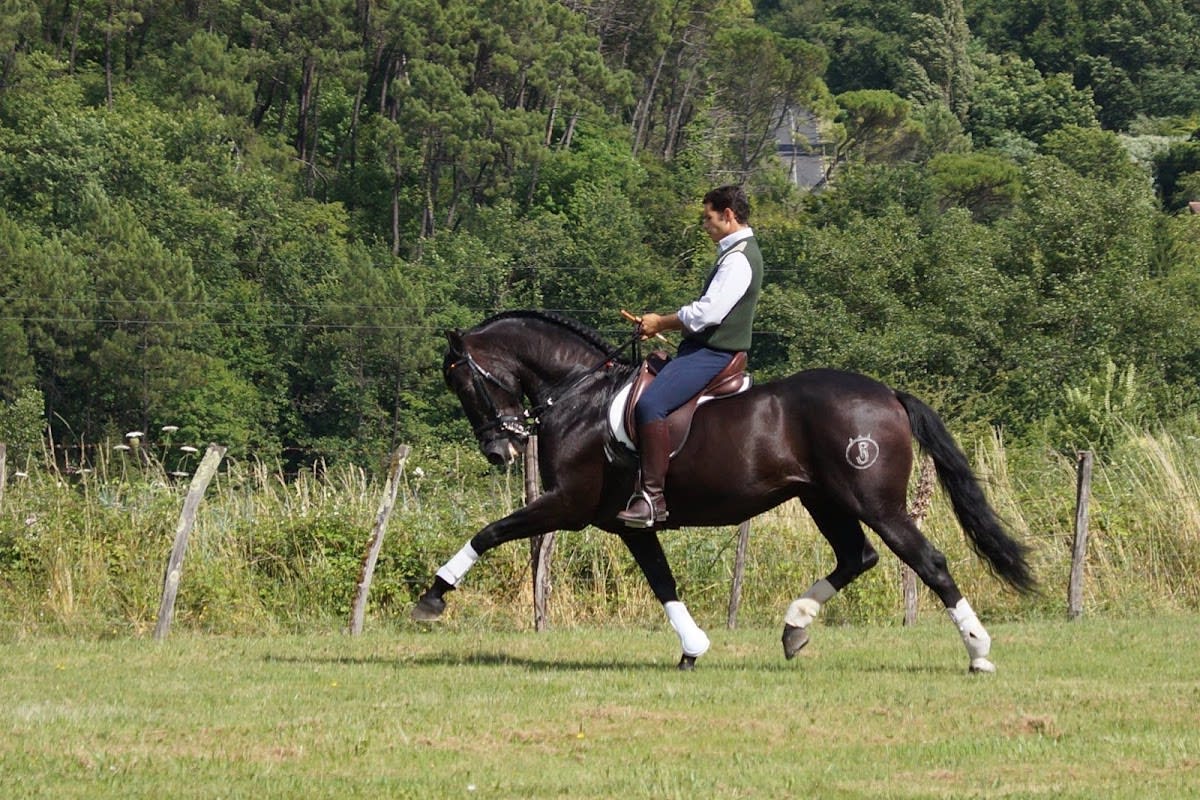 Picadero Antonio Angulo - Hipica in Osuna