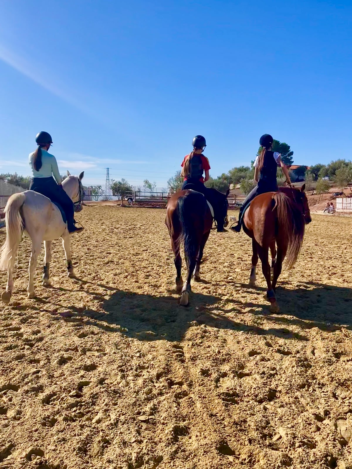 EQUIMA MONTELUZ - Hipica in Granada
