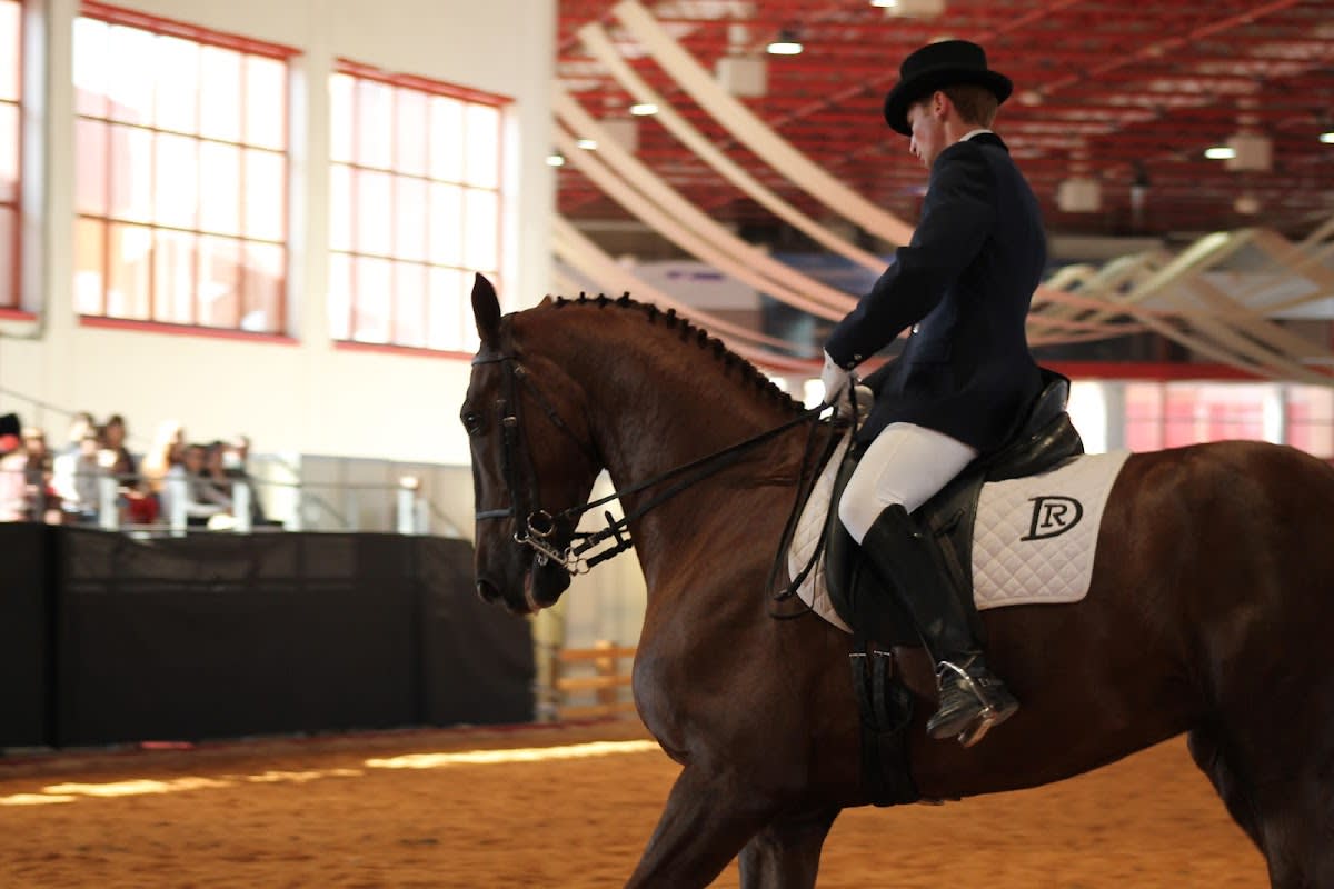 Escuela de Equitación Diego Romero - Hipica em Láchar