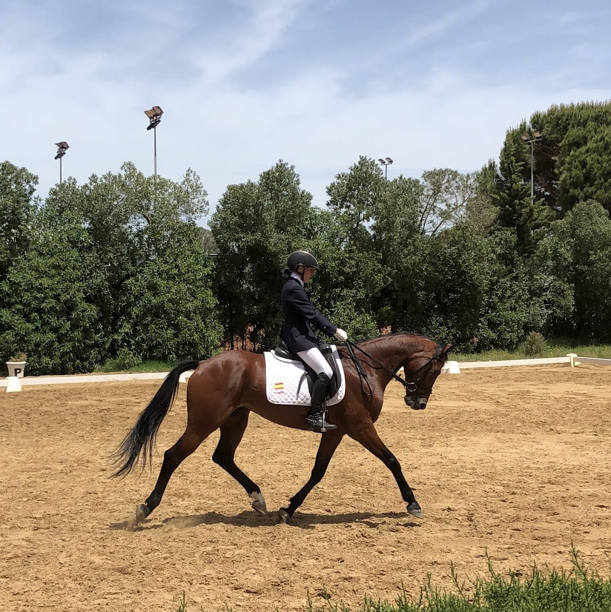 Hípica Alsina Team - Hipica a Carmona