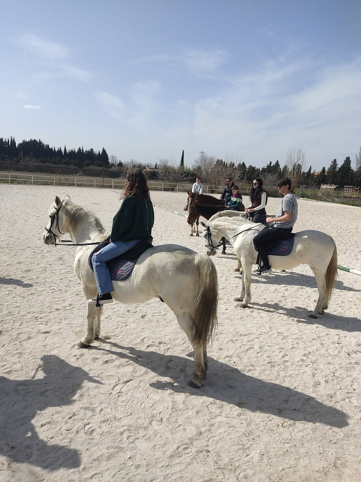 Centro deportivo ecuestre Camaura - Hipica em Granada