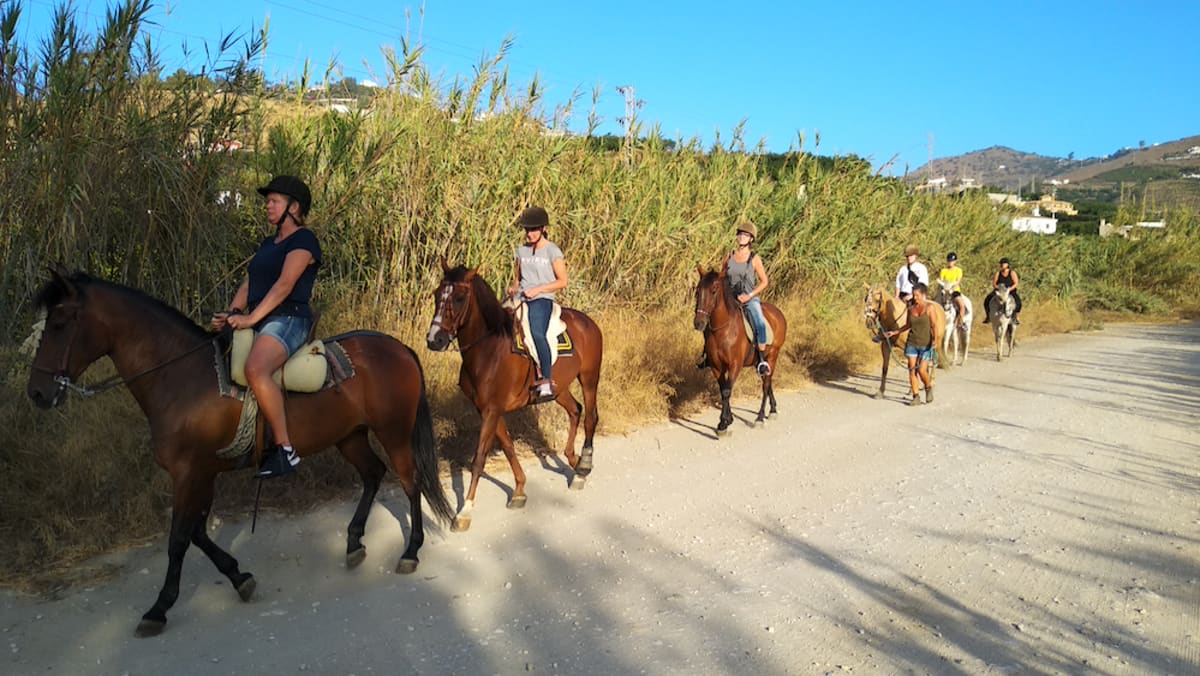 Andale Riding Nerja - Hipica in Málaga
