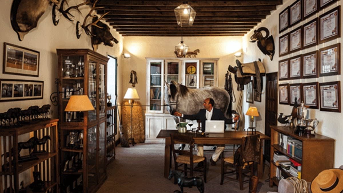 Yeguada Candau - Hipica in Morón de la Frontera