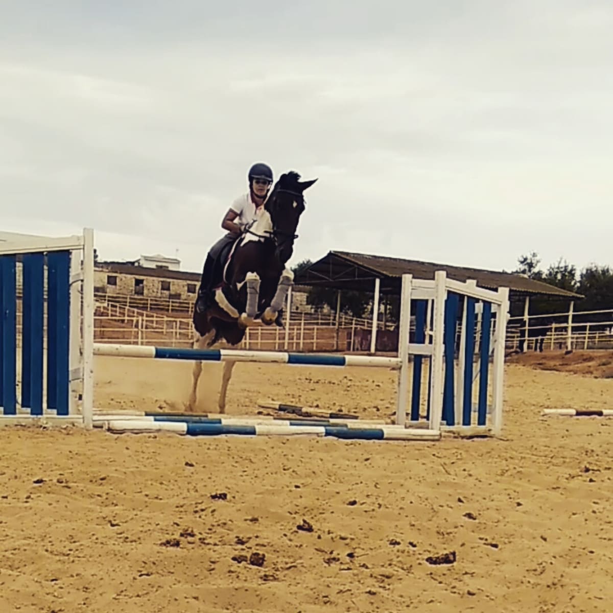 YEGUADA AGUILAR VELASCO - Hipica a Carmona