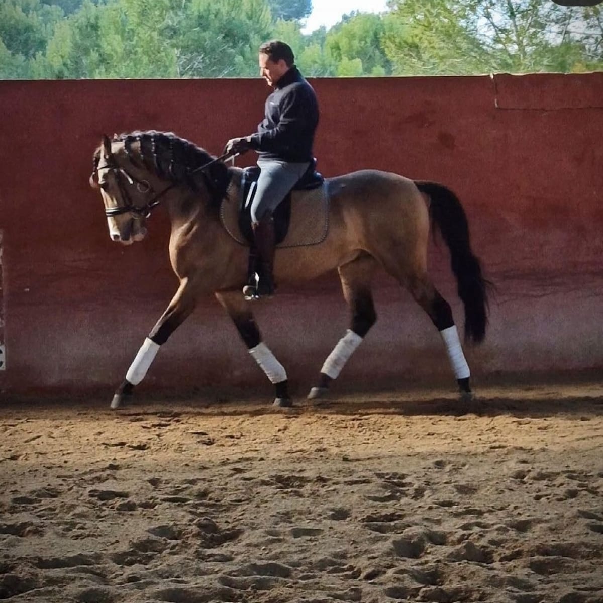 Centro Ecuestre Basilio Mateo - Hipica in Hurchillo