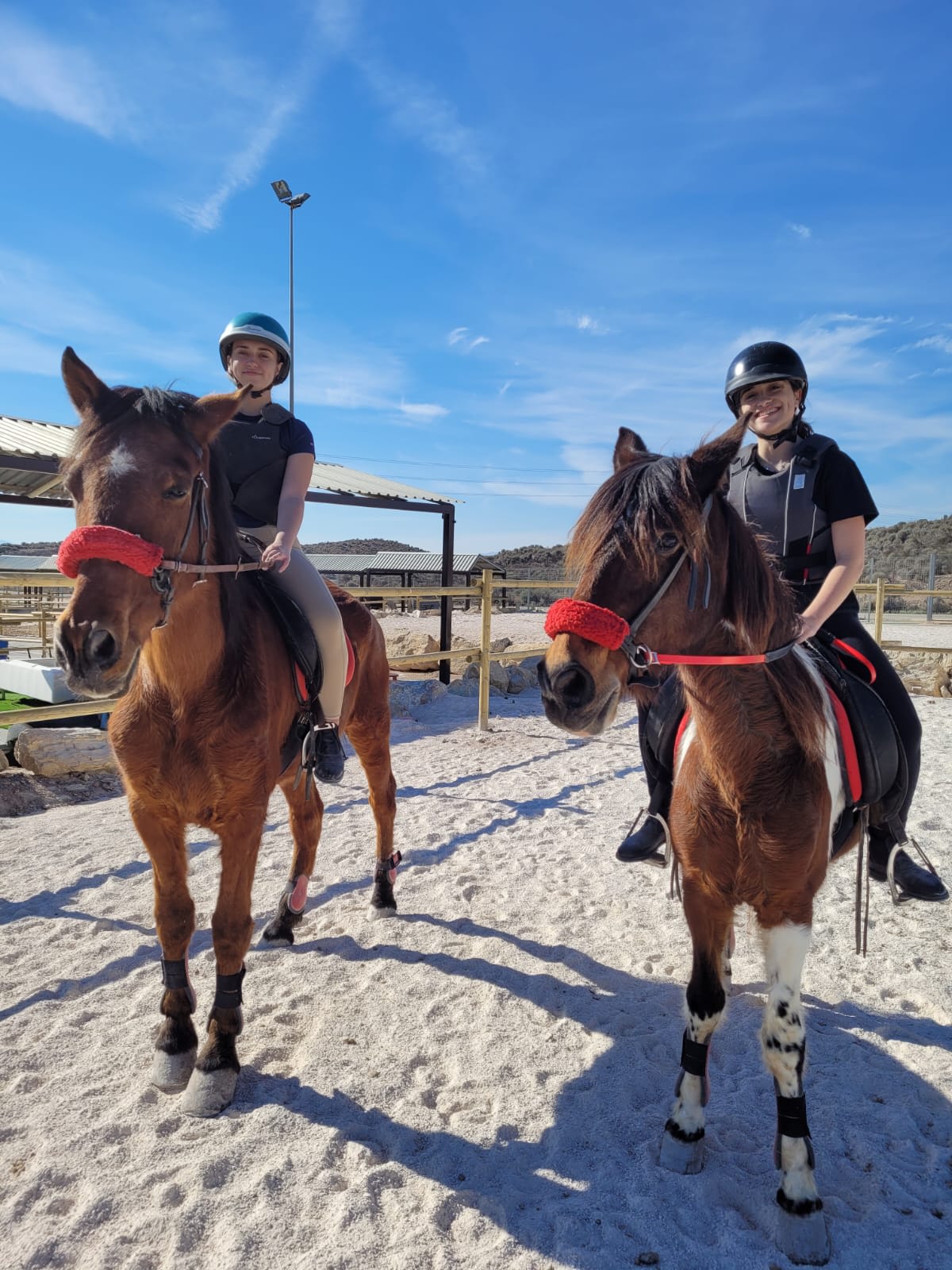 Fundación Centauro Quirón - Hipica in Molina de Segura