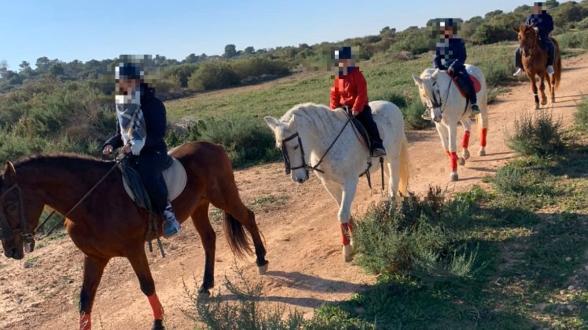 Centro Hípico El Altet - Hipica in El Altet