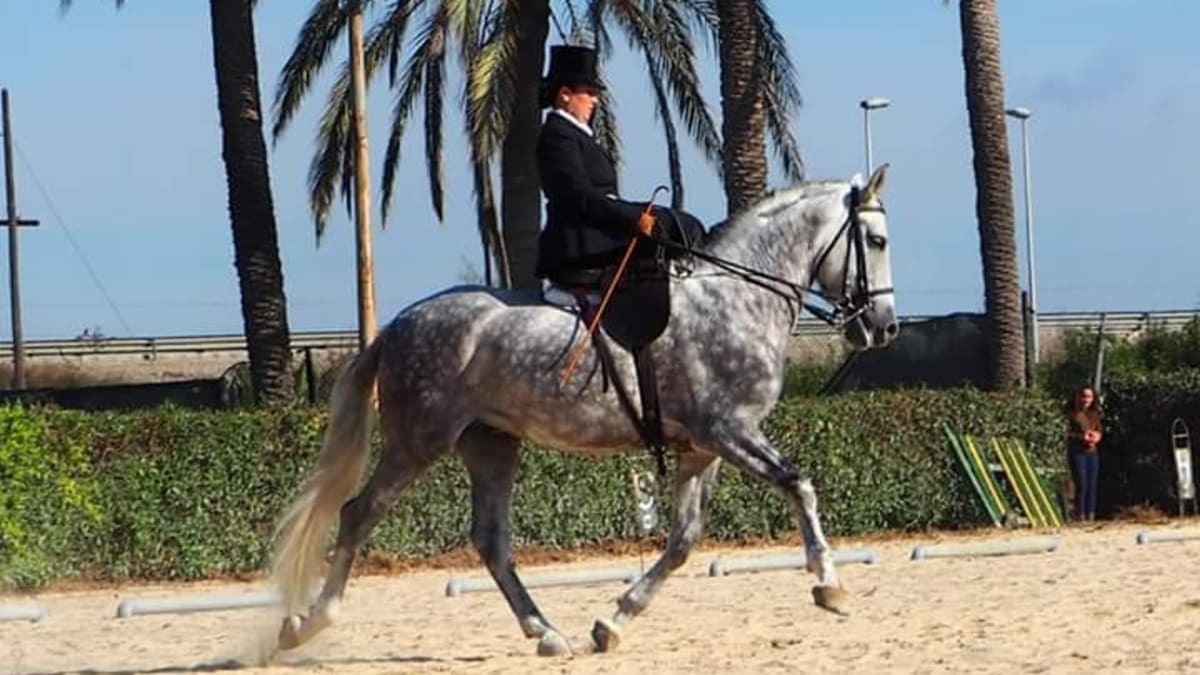 Laura Sánchez.Equitación en silla de cornetas - Hipica in Albacete