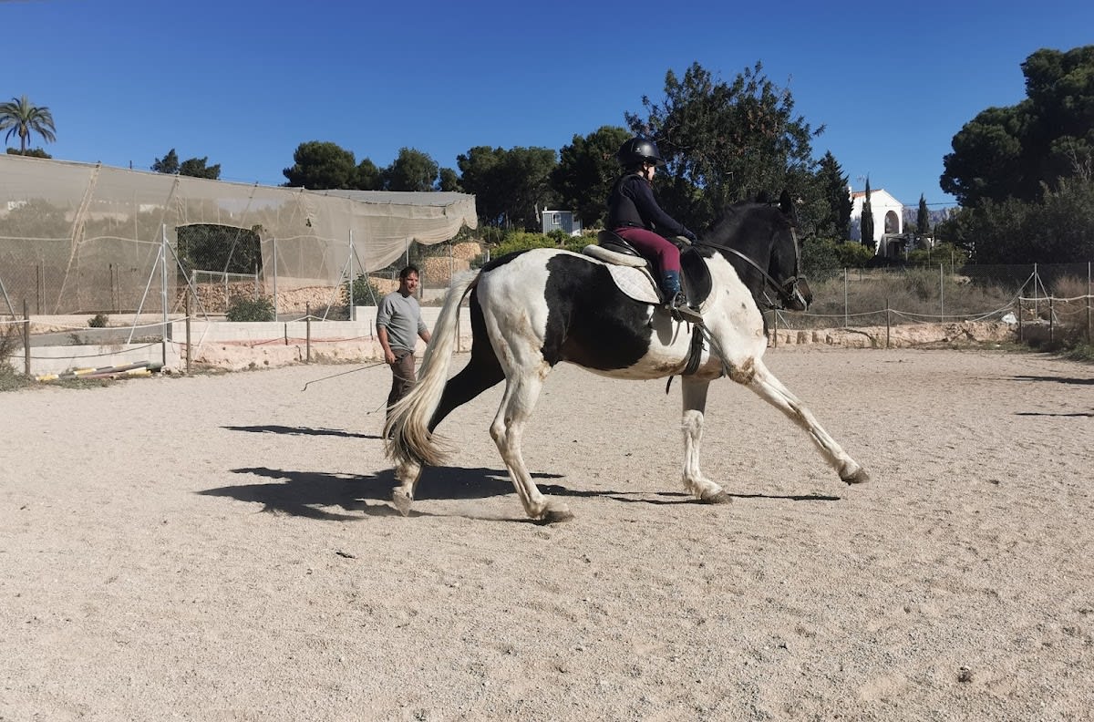 CENTRO ECUESTRE RUBEN CARRILLO - Hipica in L'Alfàs del Pi