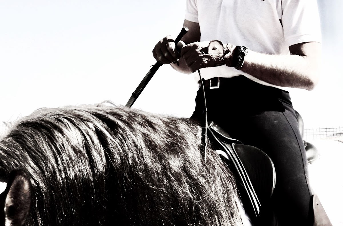 club hípico virgen del milagro - Hipica in Leiva