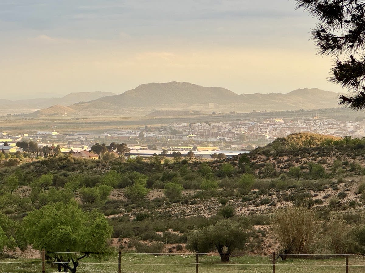 Club hipico el Trebol - Hipica in Yecla