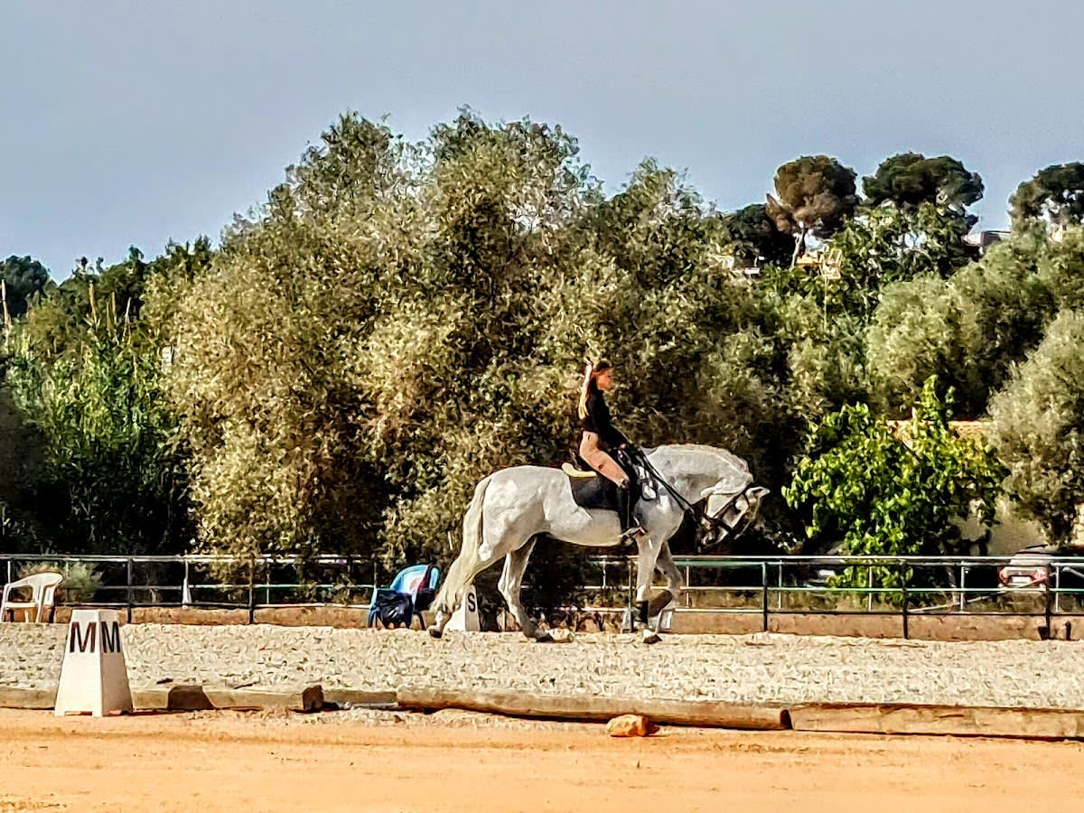 Horse Riding Center - Hipica en Orihuela