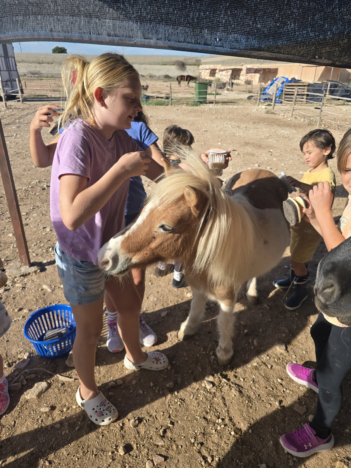 The Happy English Farm School & Horse Livery - Hipica in Alicante