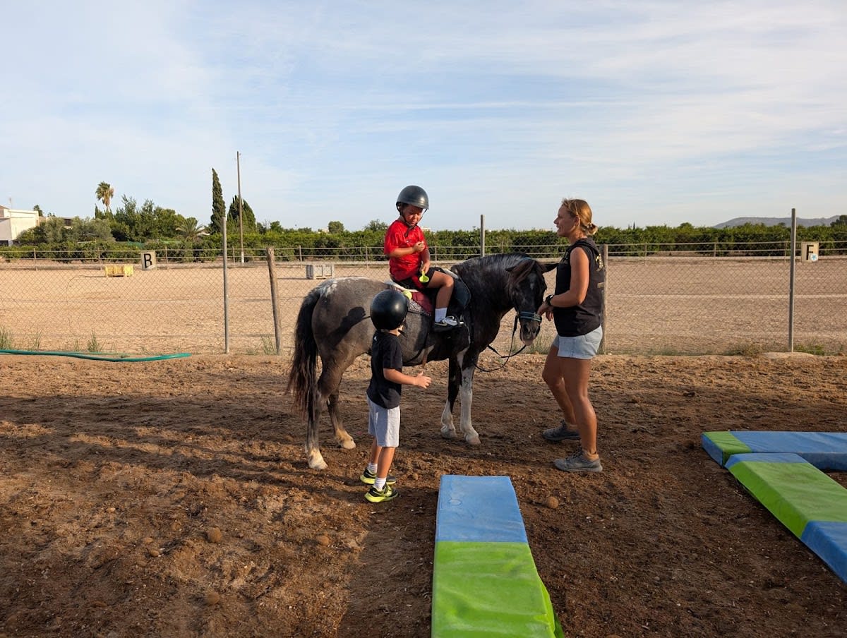 JJETS Equitación, servicios - Hipica in Almoradí