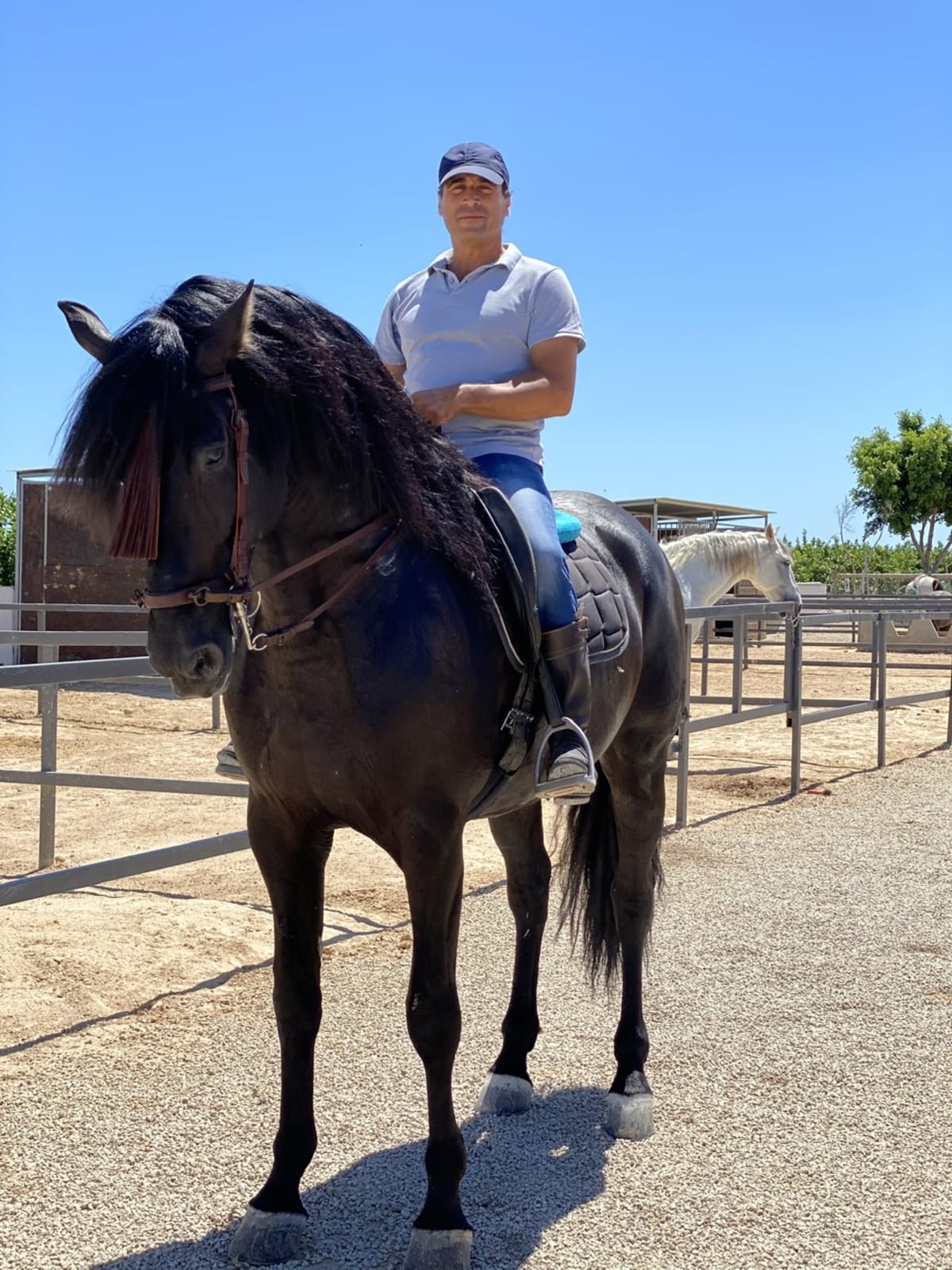 HIPICA GILILLO - Hipica in San Miguel de Salinas